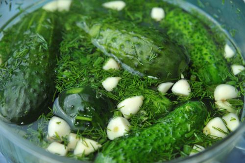 Малосольные огурцы